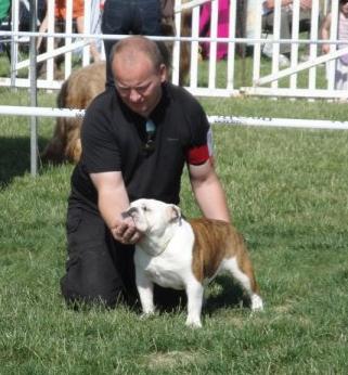 Mack Sweet British Bulls - CACS CAMPBON 2010