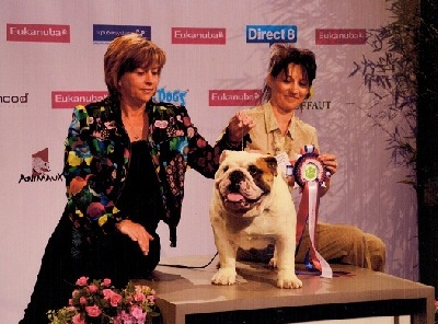 Mack Sweet British Bulls - CHAMPIONNAT DE FRANCE 2011