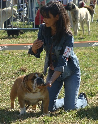 Mack Sweet British Bulls - SPECIALE BULLDOG A ROMORANTIN 2009